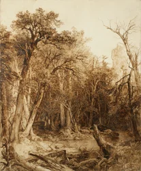 Urwald, 1854